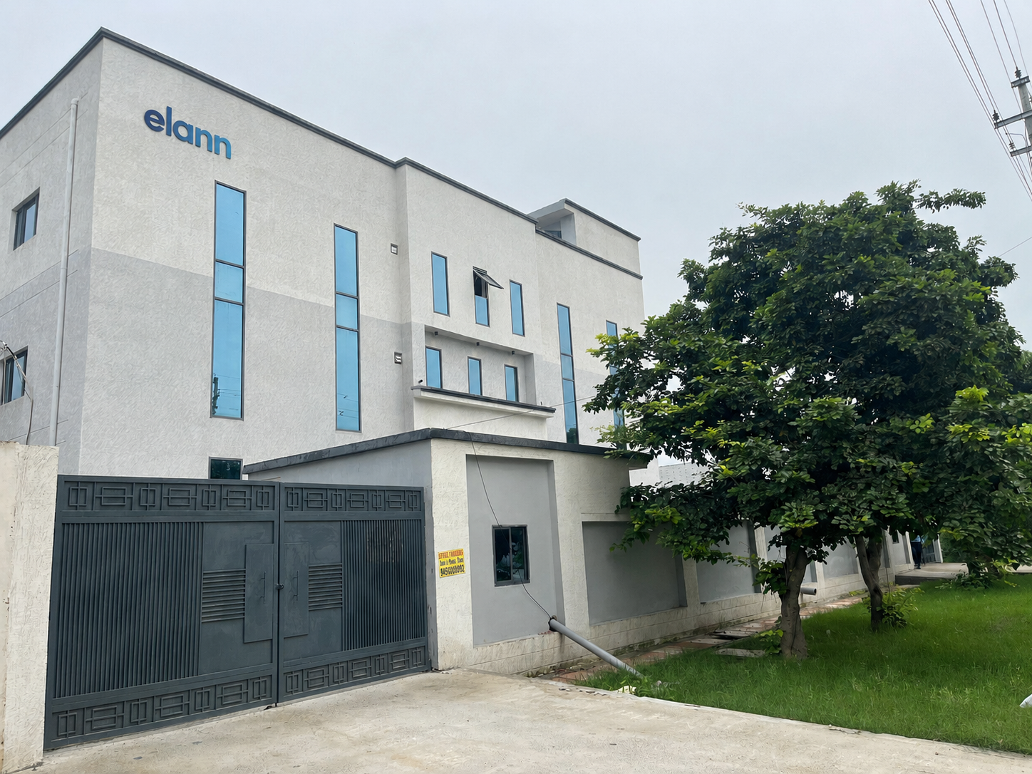 Elann Gallery